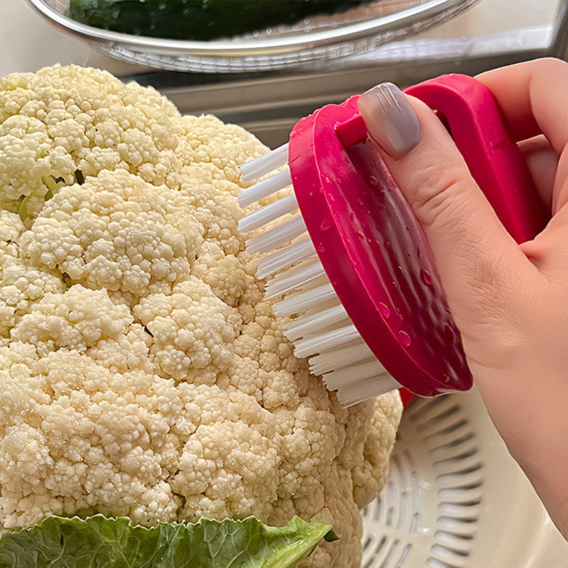 Handheld Fruit & Vegetable Scrub Brush