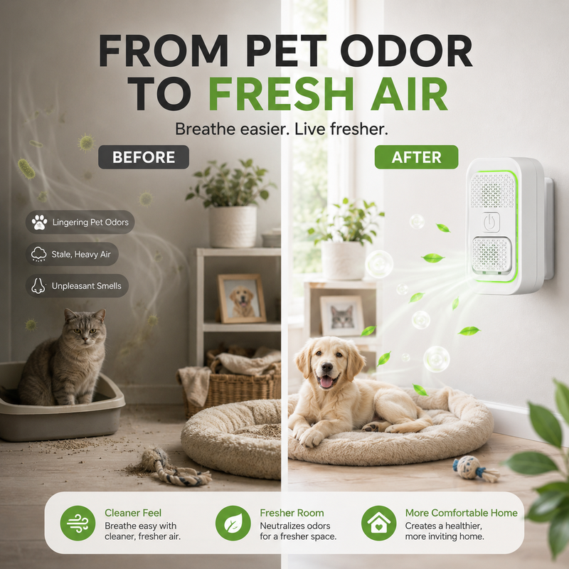 Mini Plug-In Ionic Air Purifier,Freshen Any Room — No Filters, No Fuss.